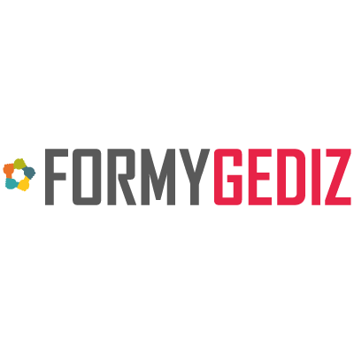 Formygediz